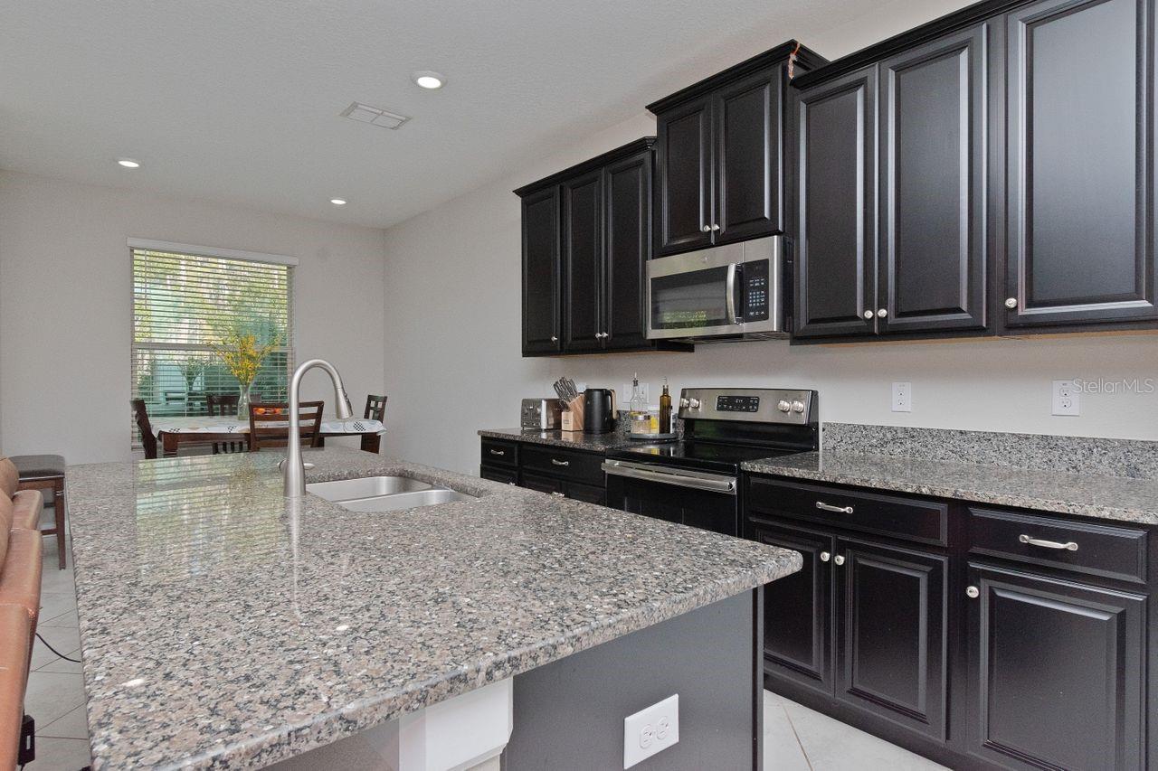 10038 CORSO MILANO DR