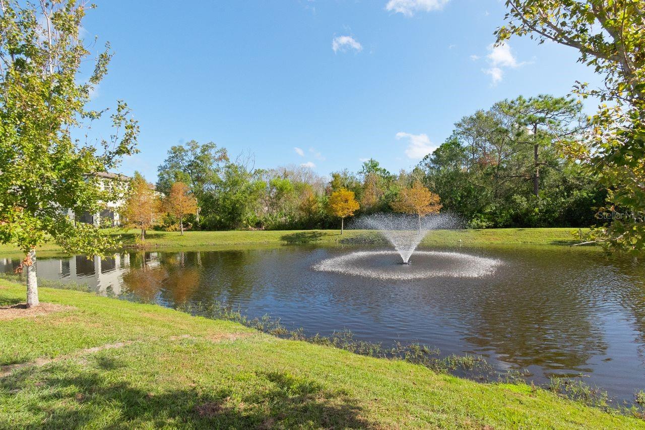 10038 CORSO MILANO DR