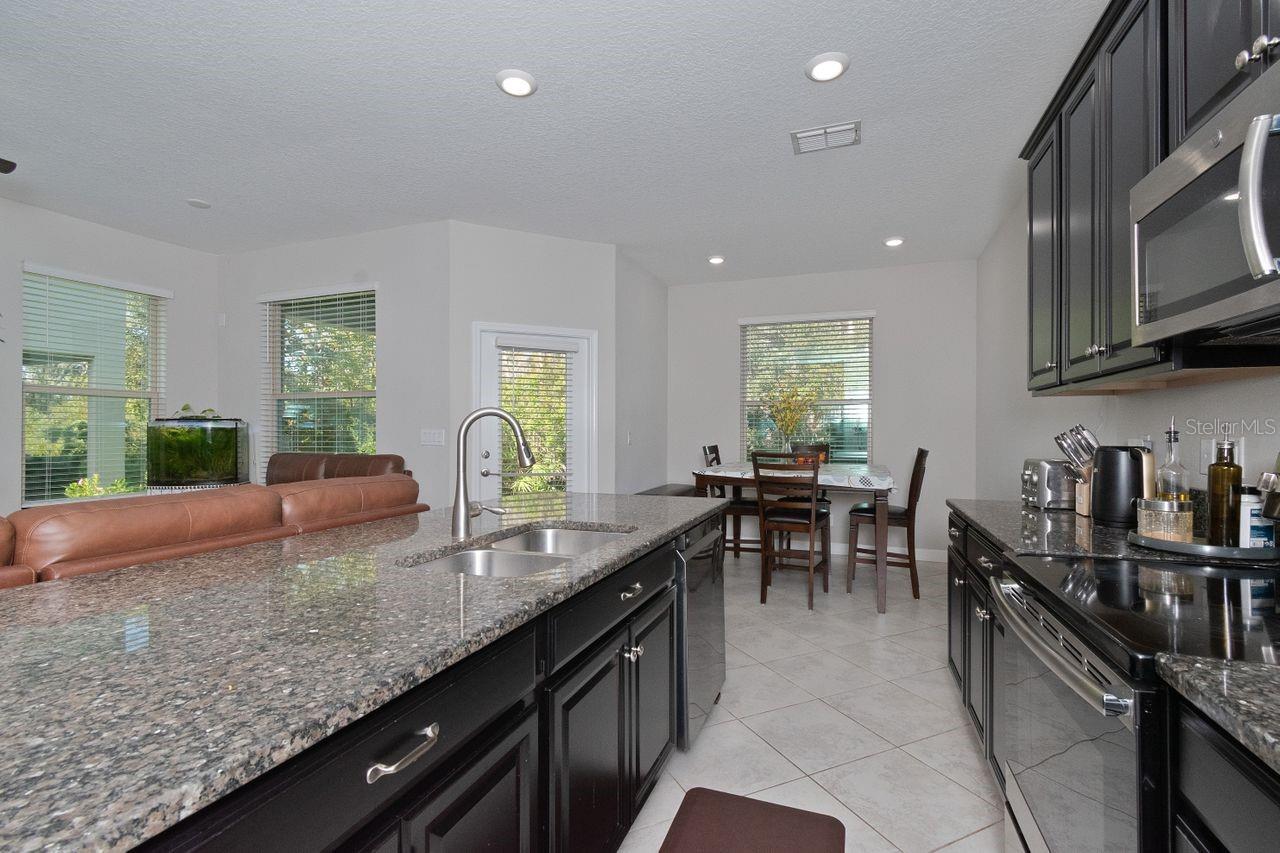 10038 CORSO MILANO DR