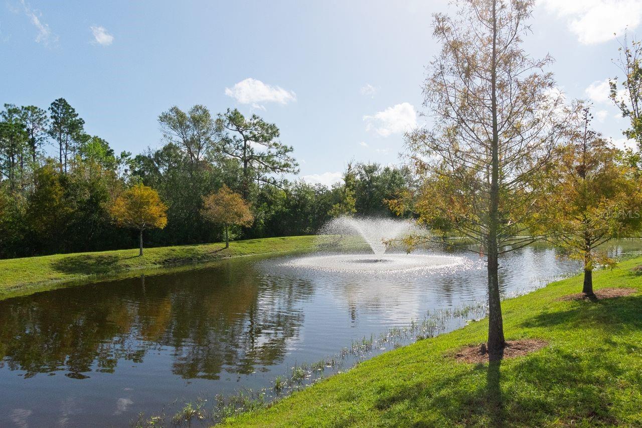 10038 CORSO MILANO DR