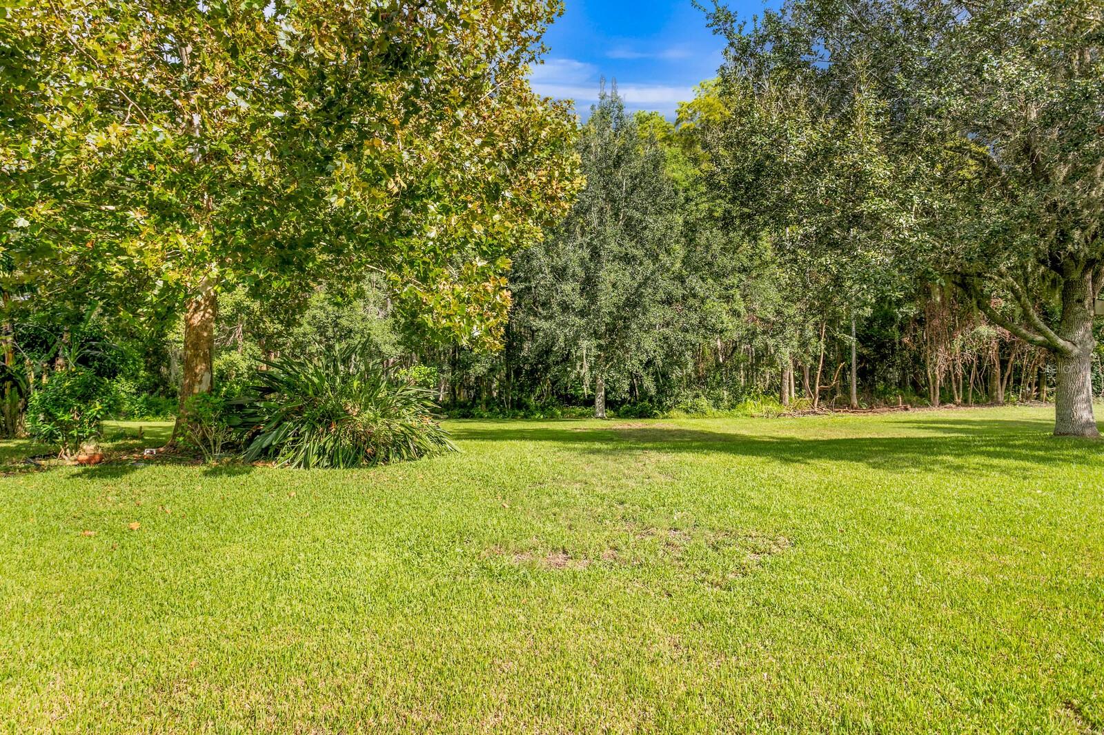 3320 MAJESTIC VIEW DR