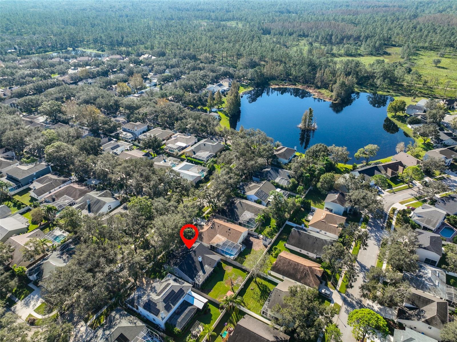 9309 HAMPSHIRE PARK DR