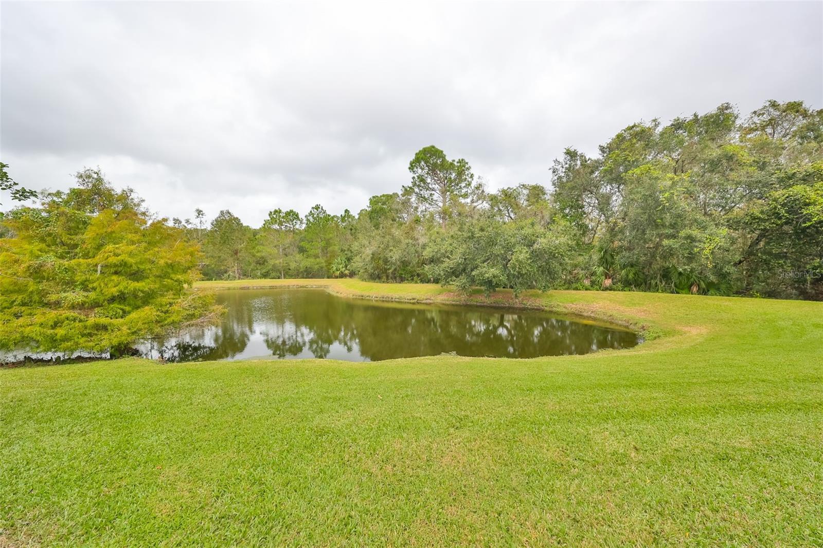 26943 CORAL SPRINGS DR