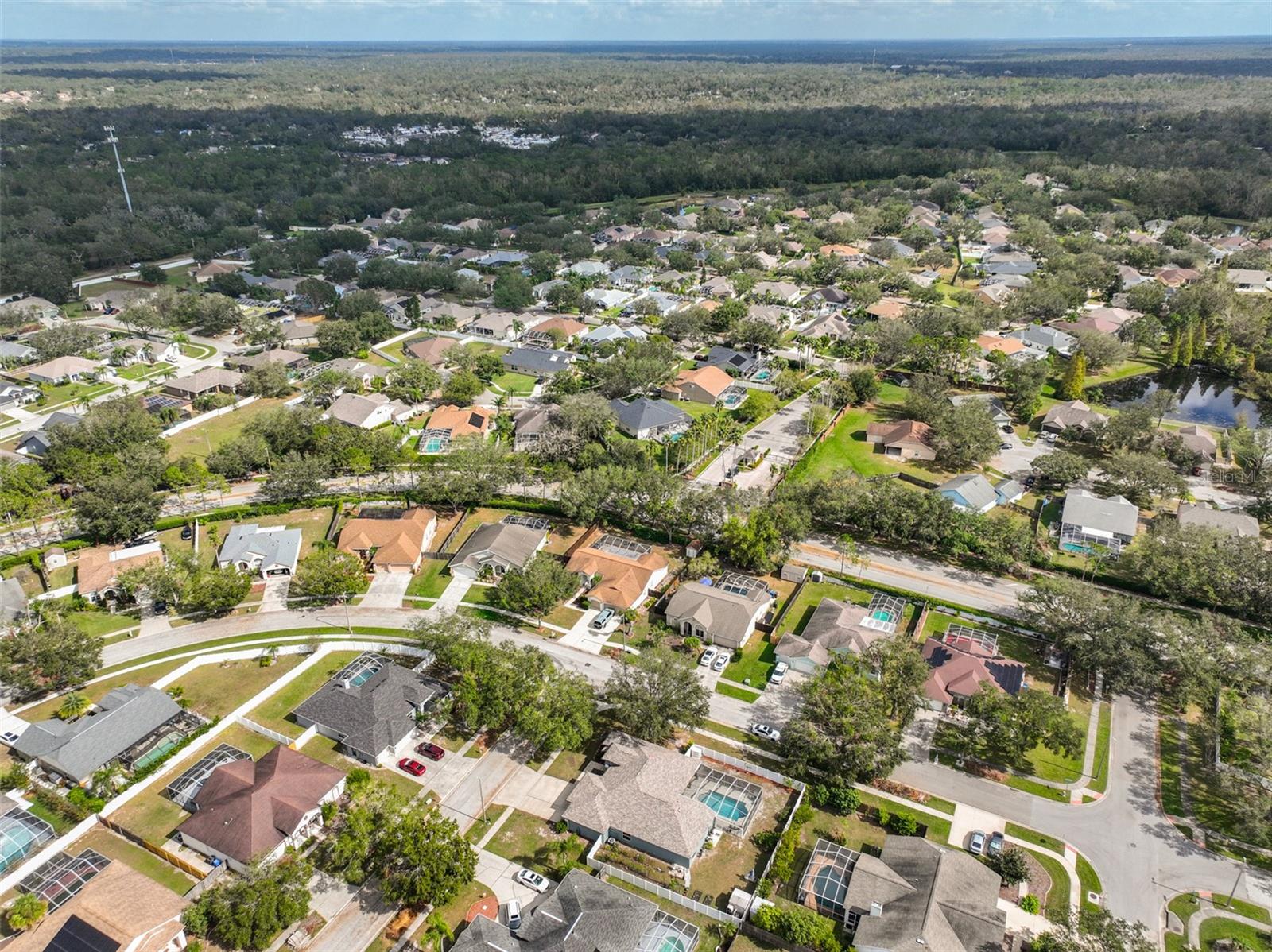 12021 RUNNING FOX CIR