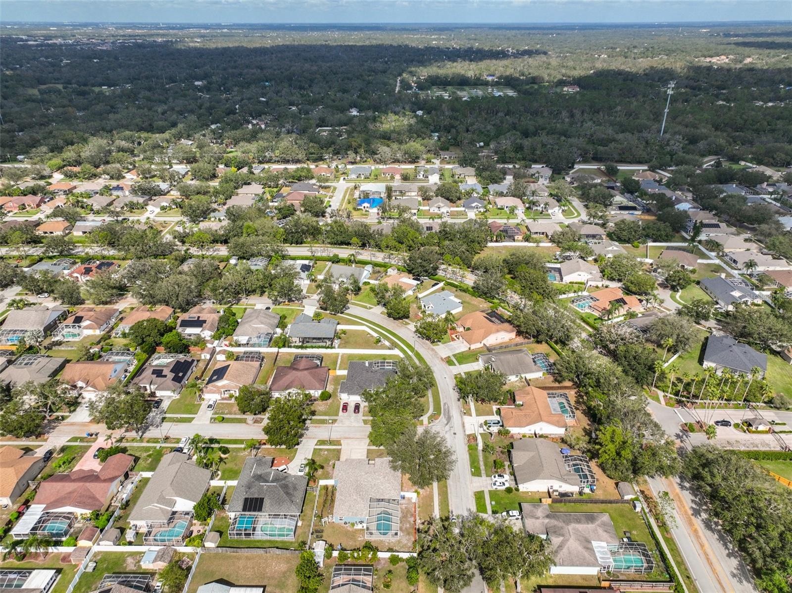 12021 RUNNING FOX CIR