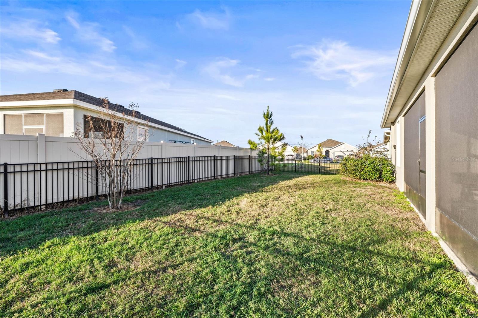 30636 PENNY SURF LOOP