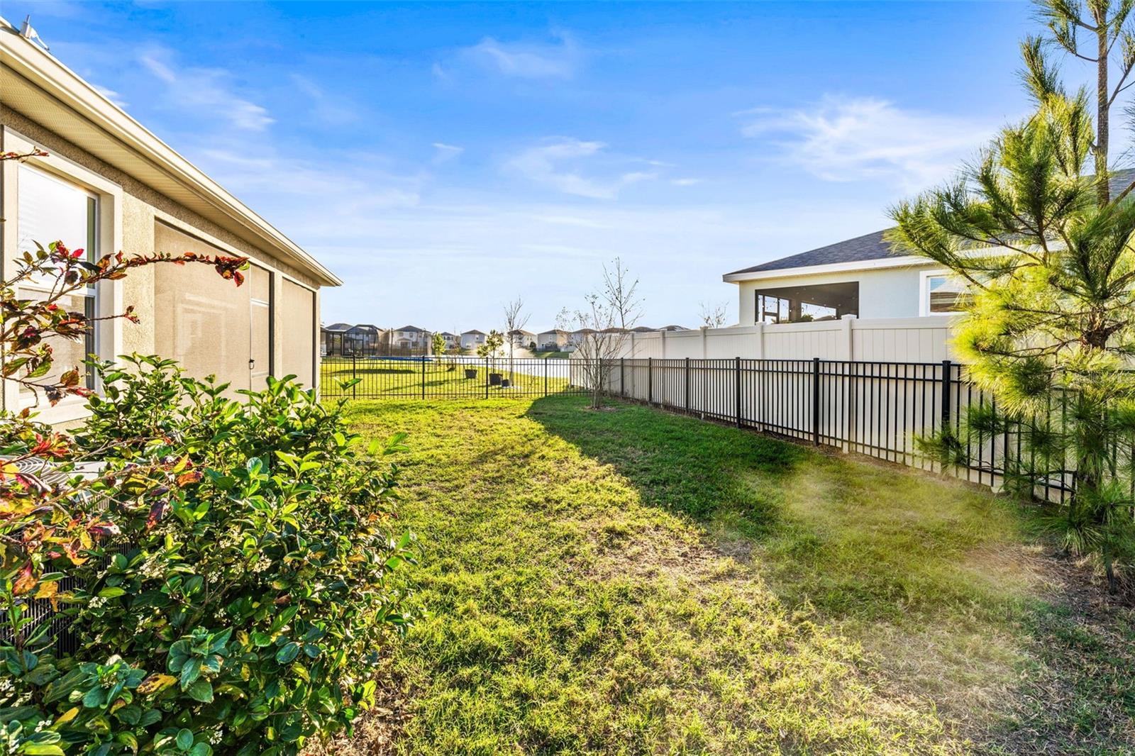 30636 PENNY SURF LOOP