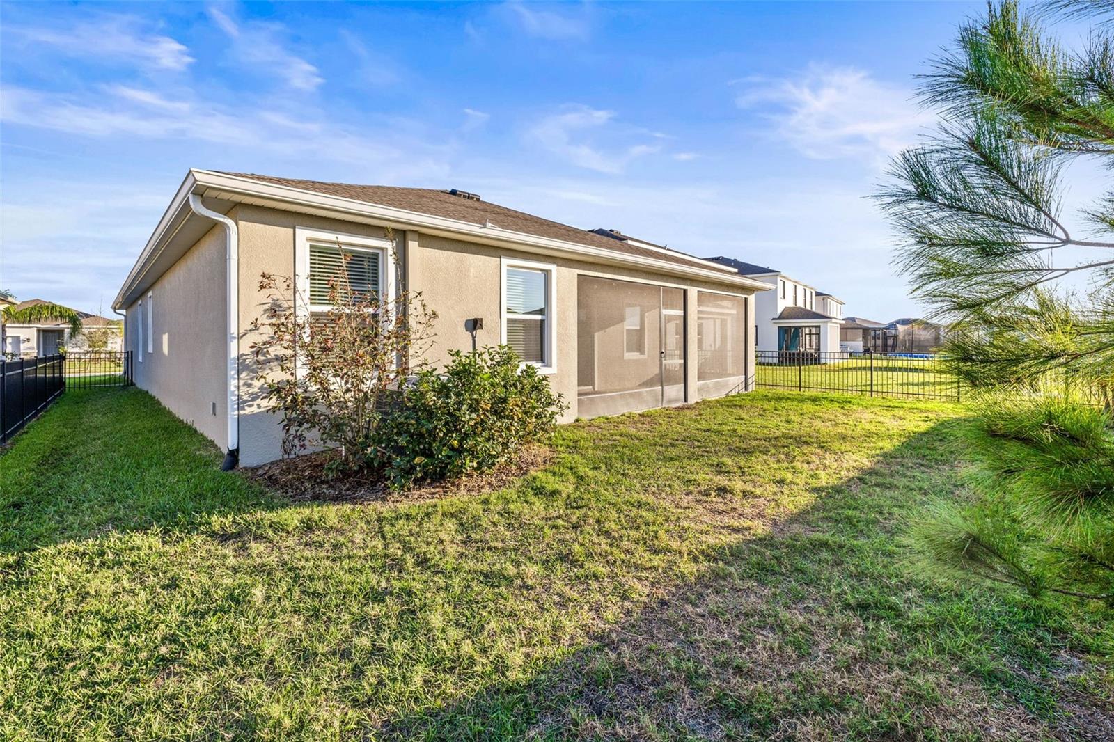 30636 PENNY SURF LOOP