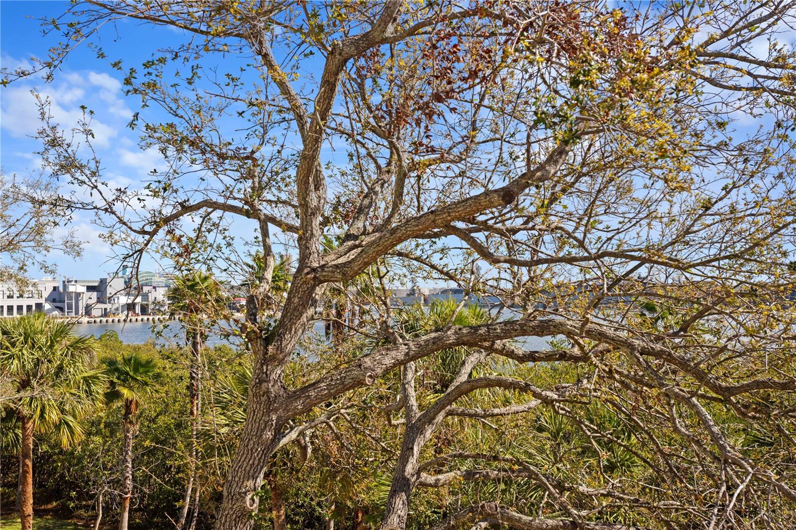 732 CORAL REEF DR #732