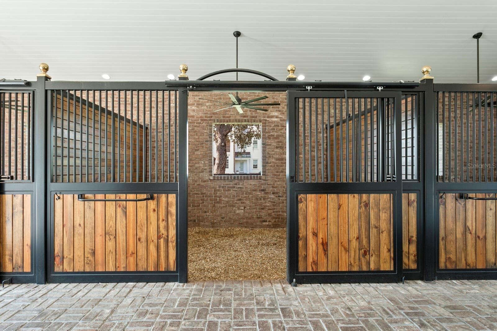 10101 TARPON SPRINGS RD