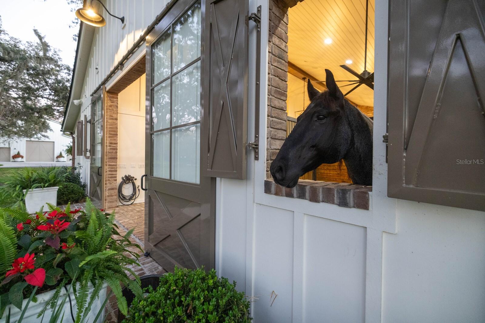 10101 TARPON SPRINGS RD