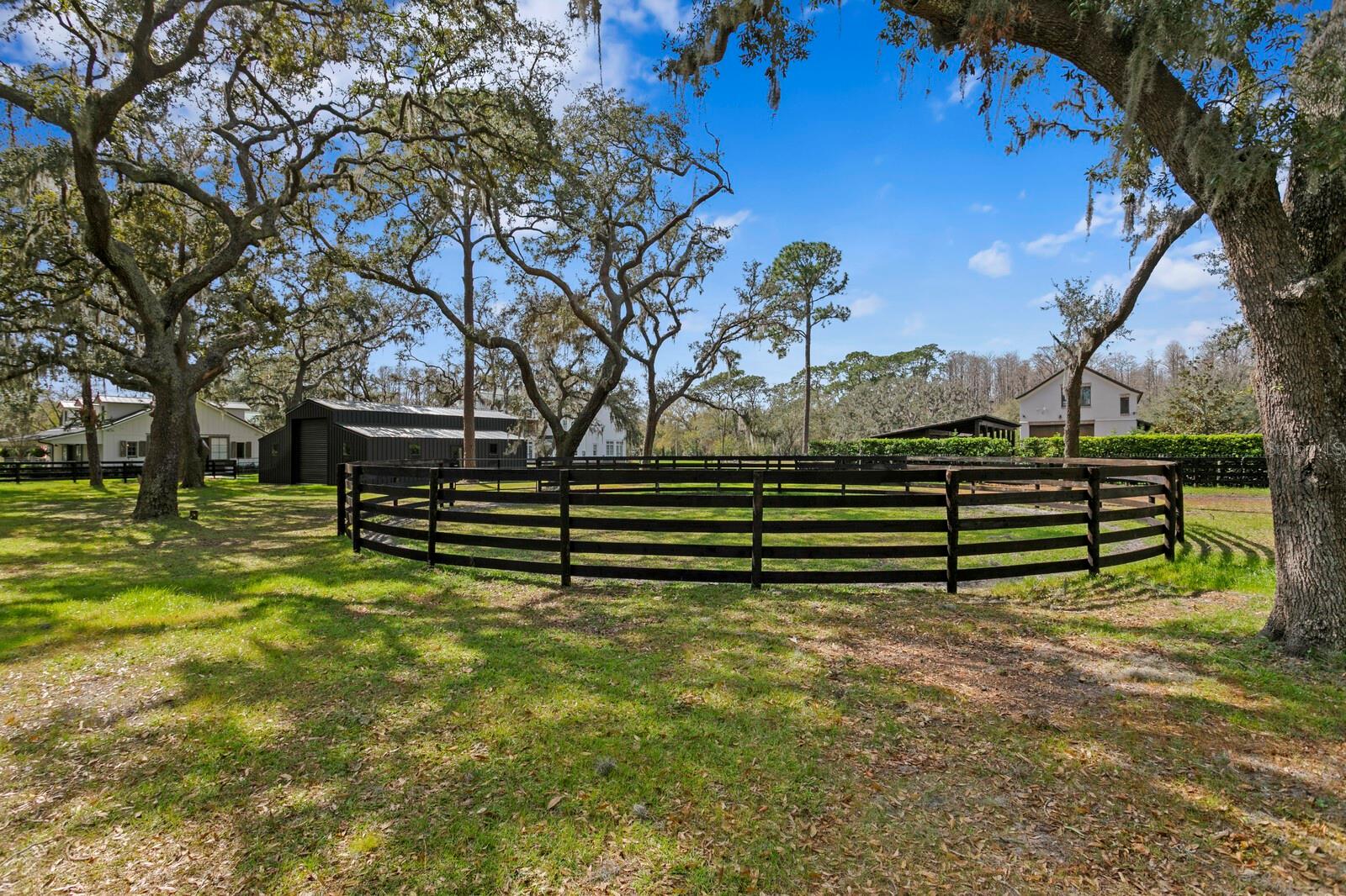 10101 TARPON SPRINGS RD