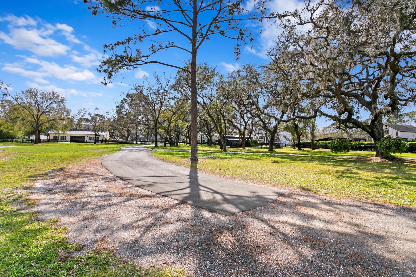 10101 TARPON SPRINGS RD