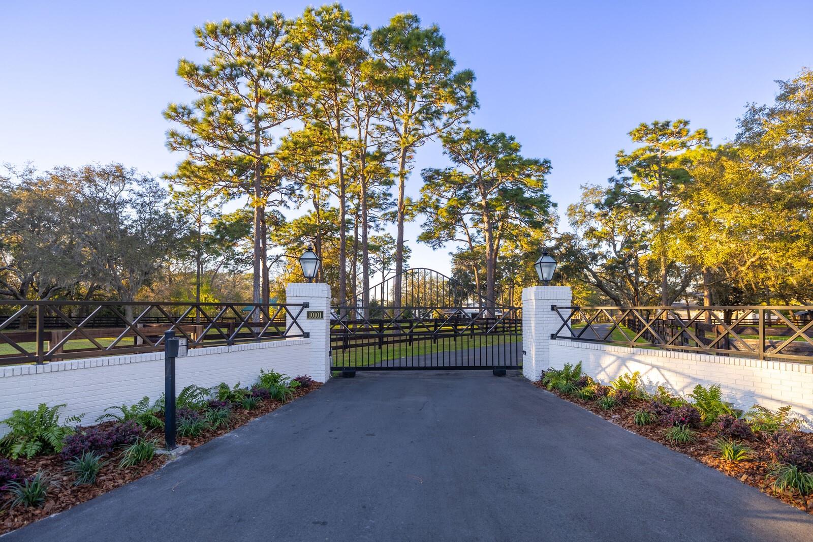 10101 TARPON SPRINGS RD