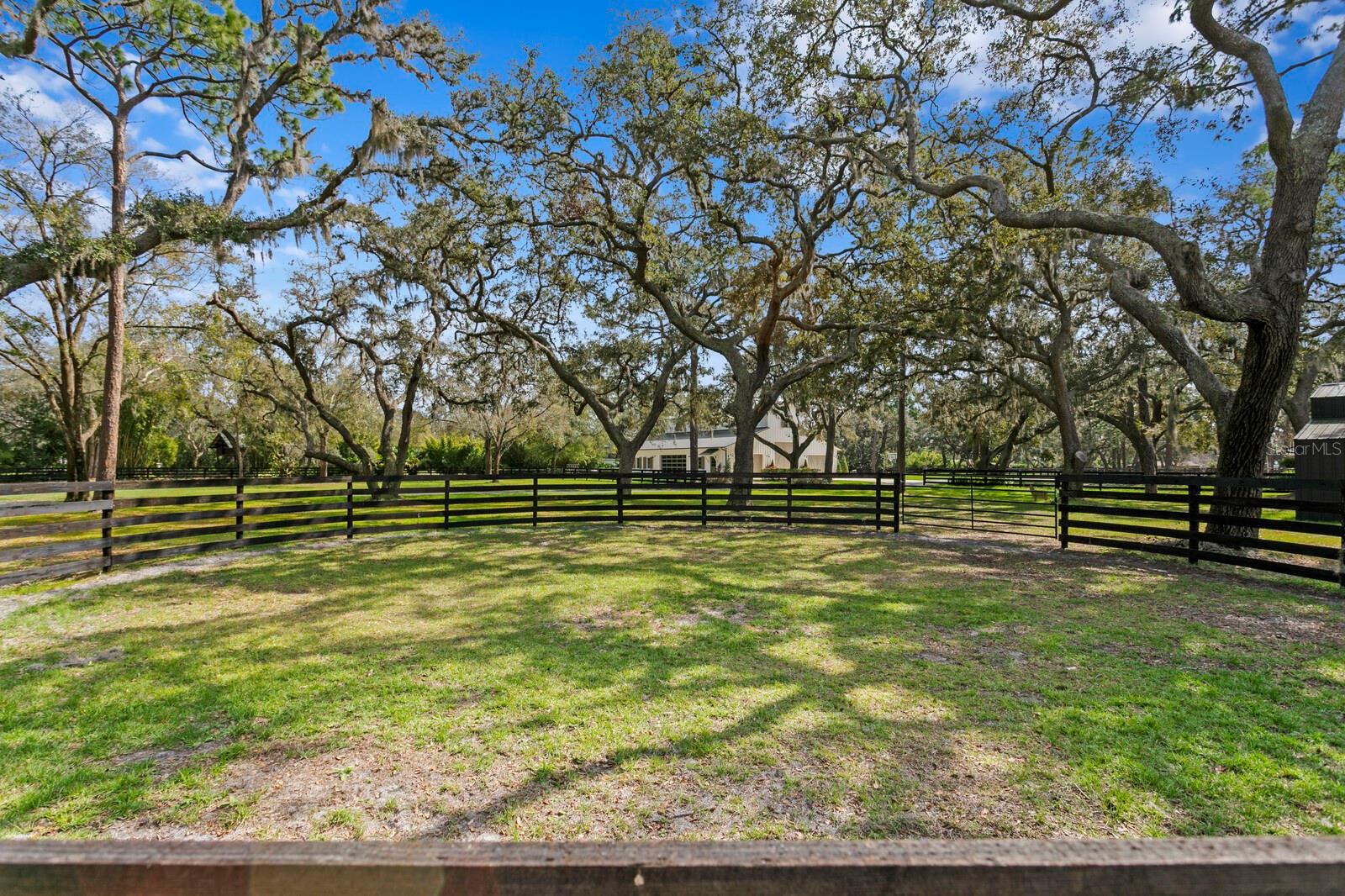 10101 TARPON SPRINGS RD