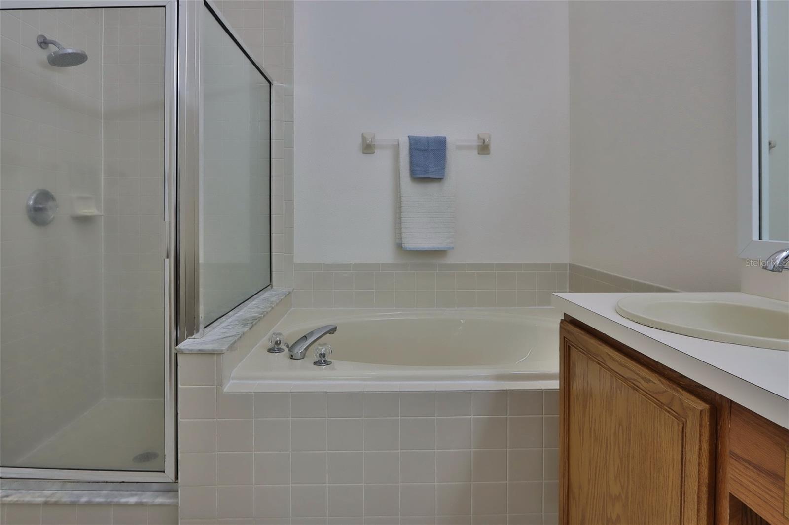 10438 LIGHTNER BRIDGE DR