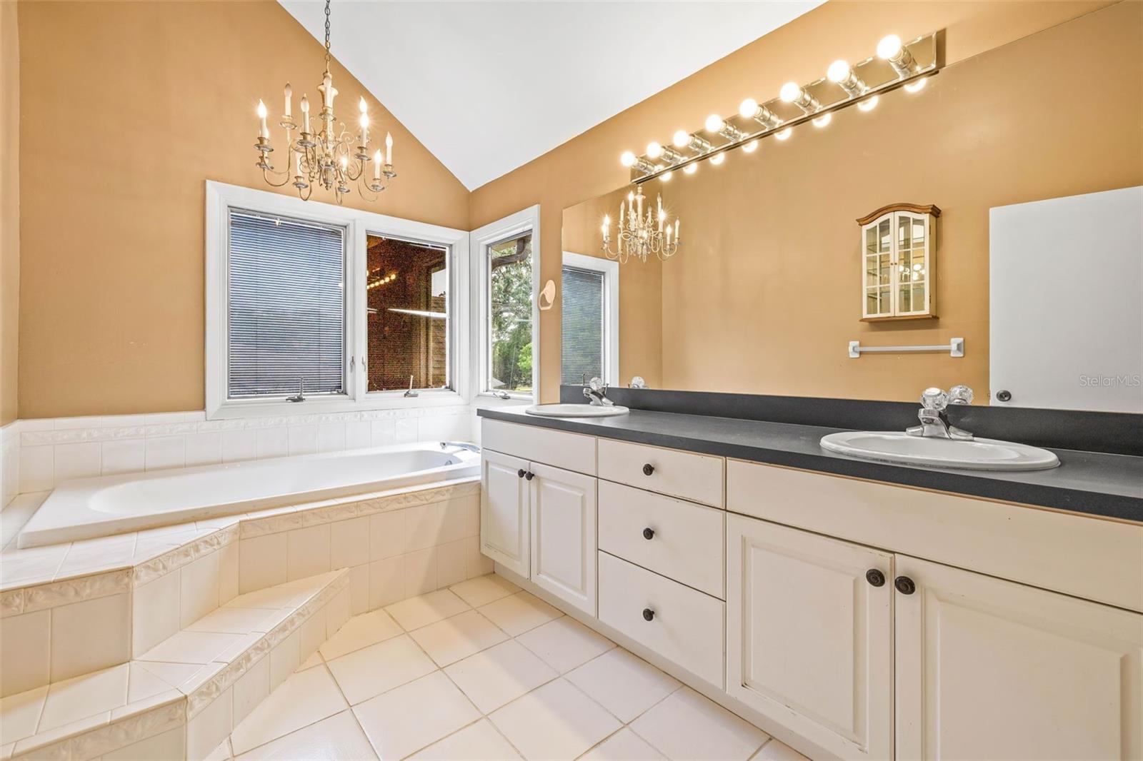 11804 CARROLLWOOD VILLAGE CV