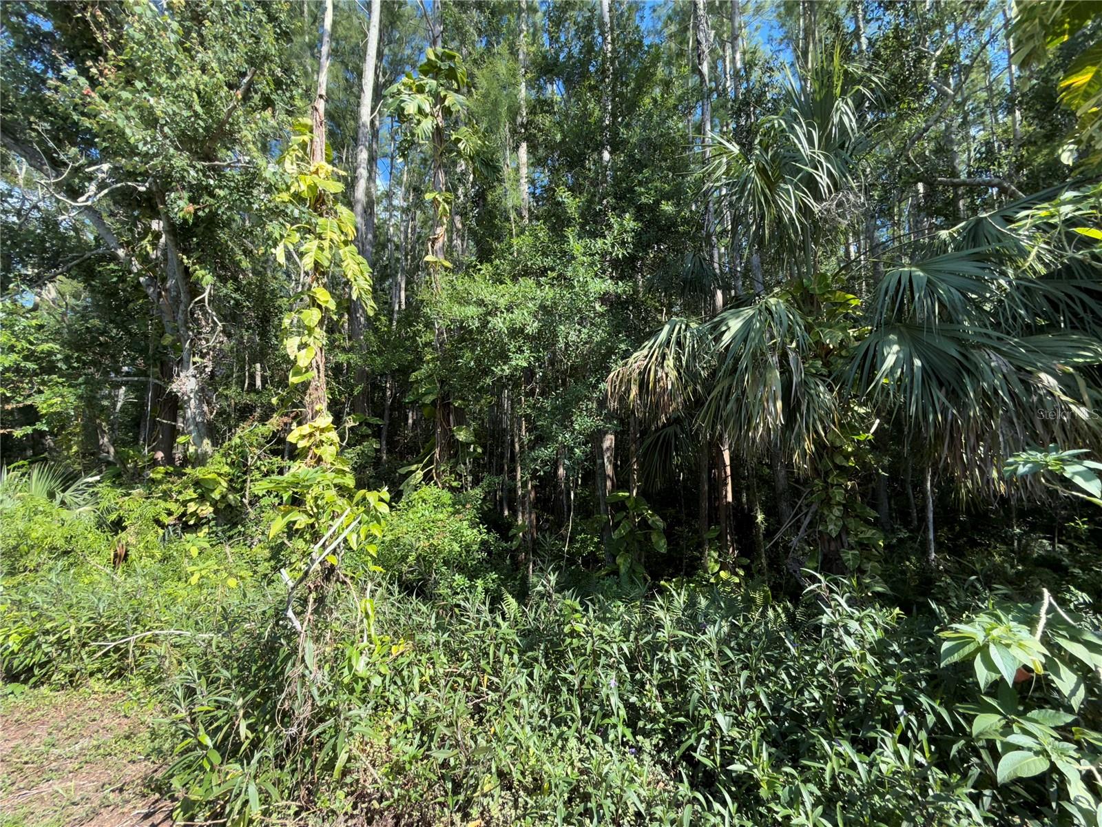 5804 RED CEDAR LN #5804