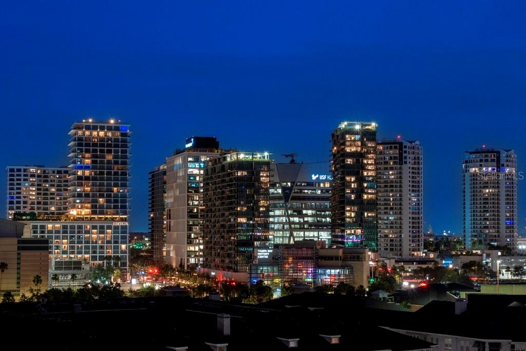 450 KNIGHTS RUN AVE #1003