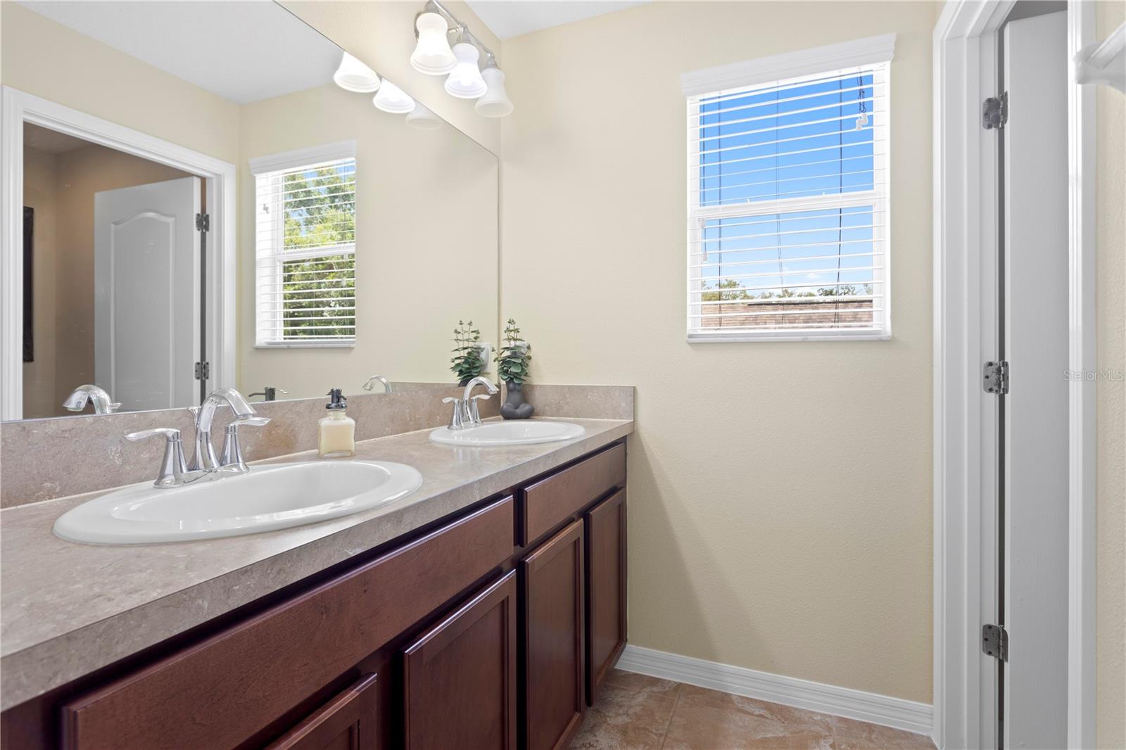 10216 SUMMER AZURE DR