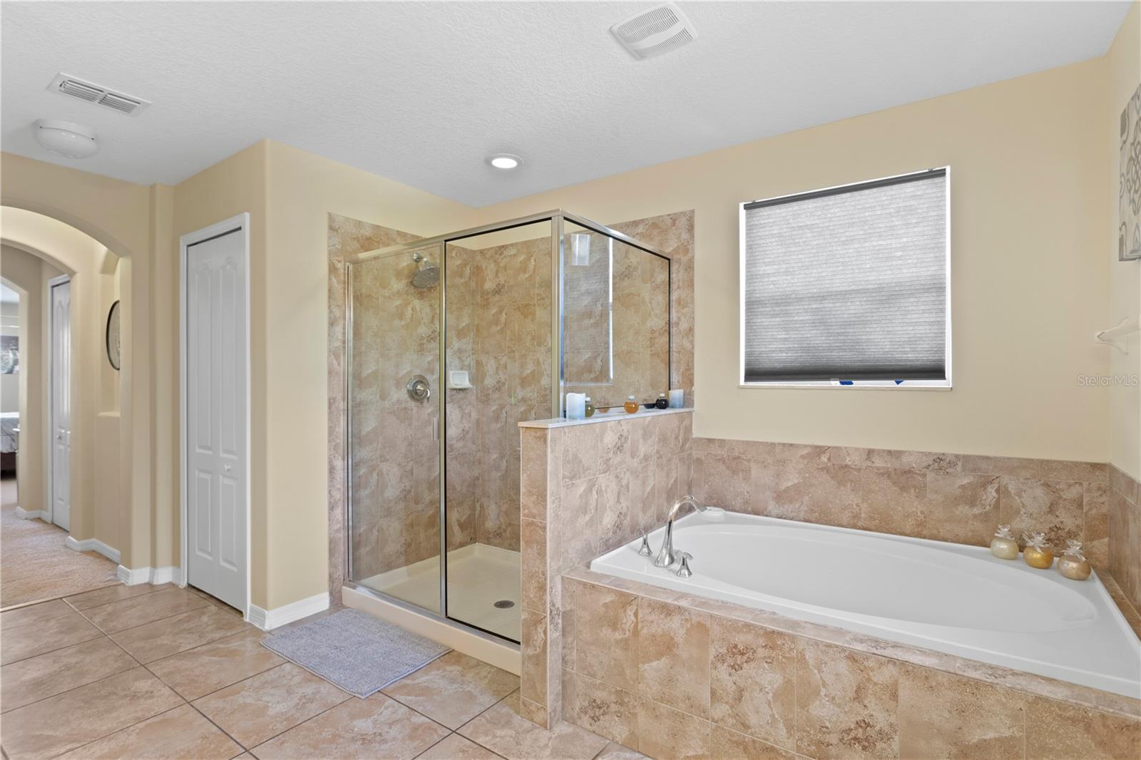 10216 SUMMER AZURE DR