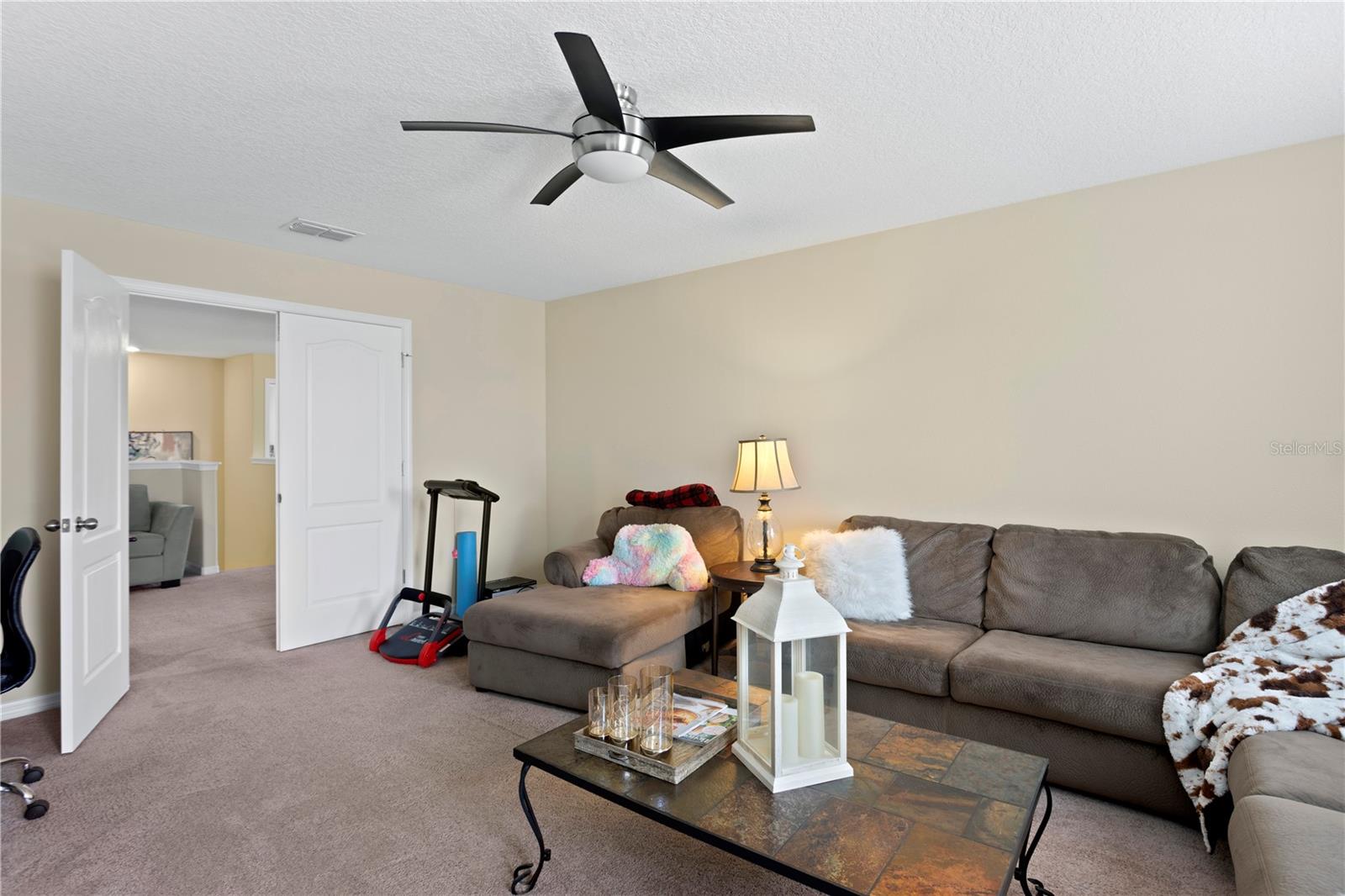 10216 SUMMER AZURE DR