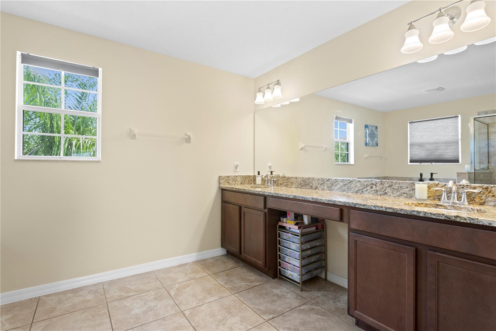 10216 SUMMER AZURE DR