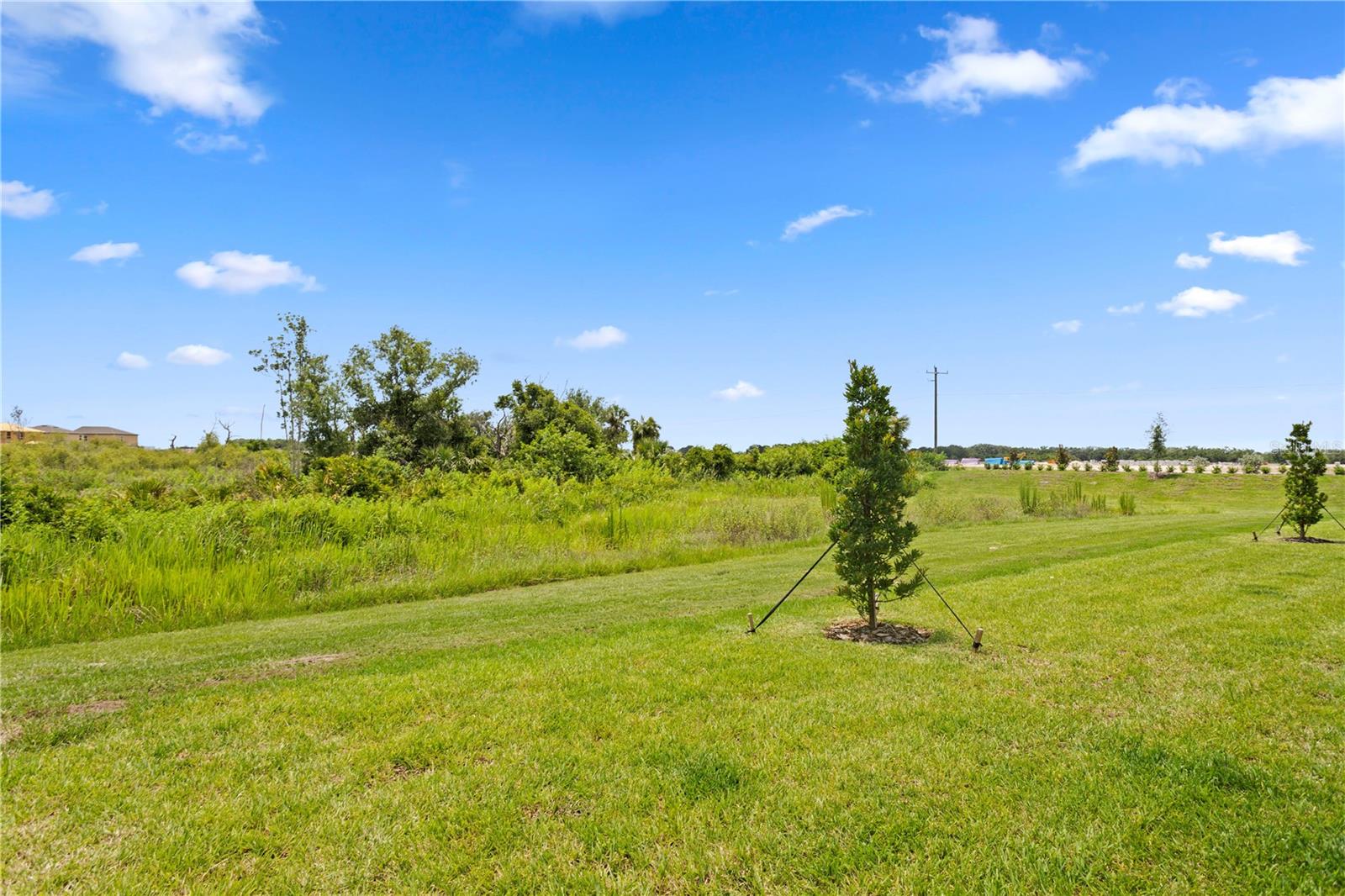 12805 CRYSTAL JADE WAY