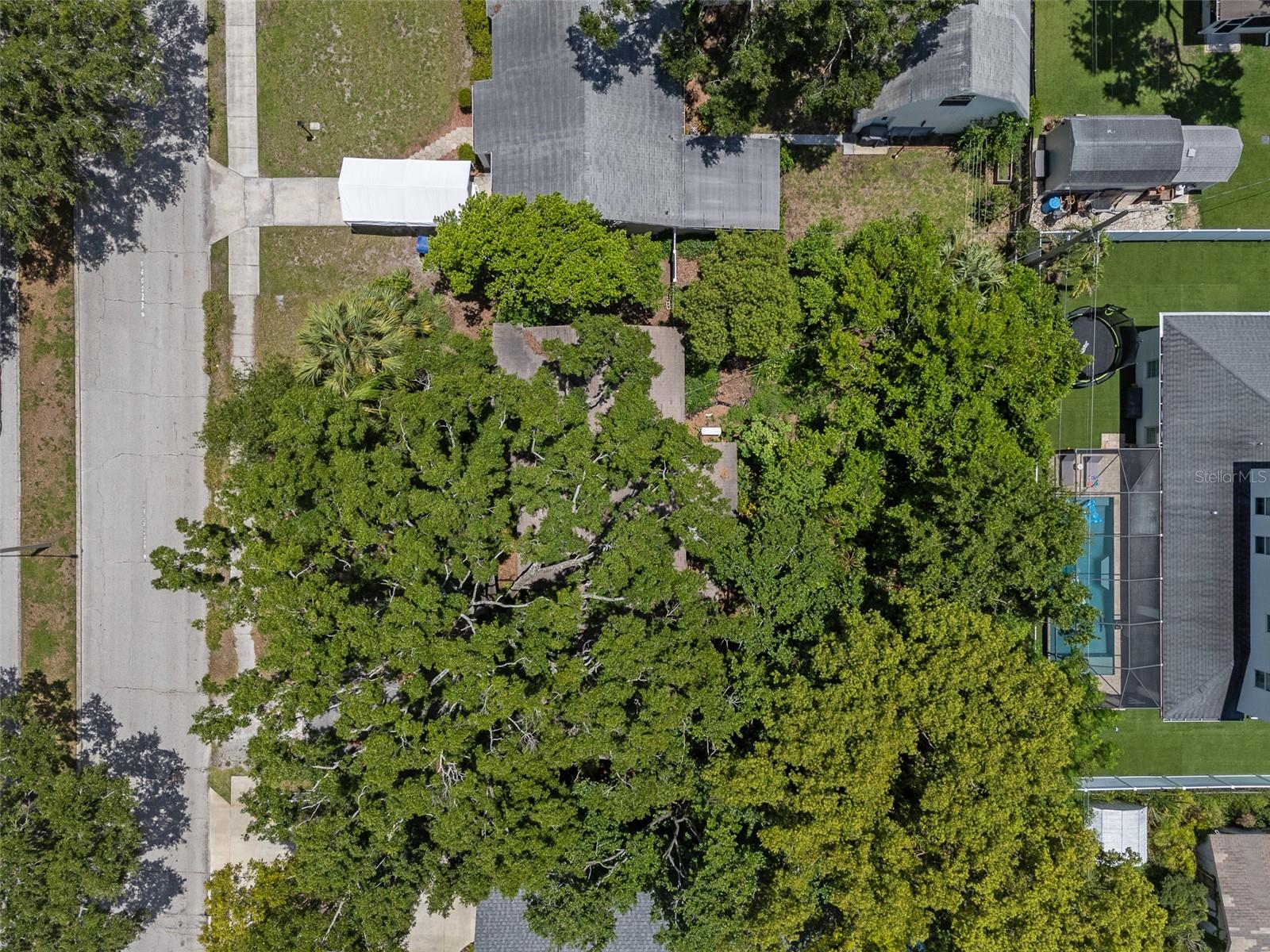 4008 W EL PRADO BLVD