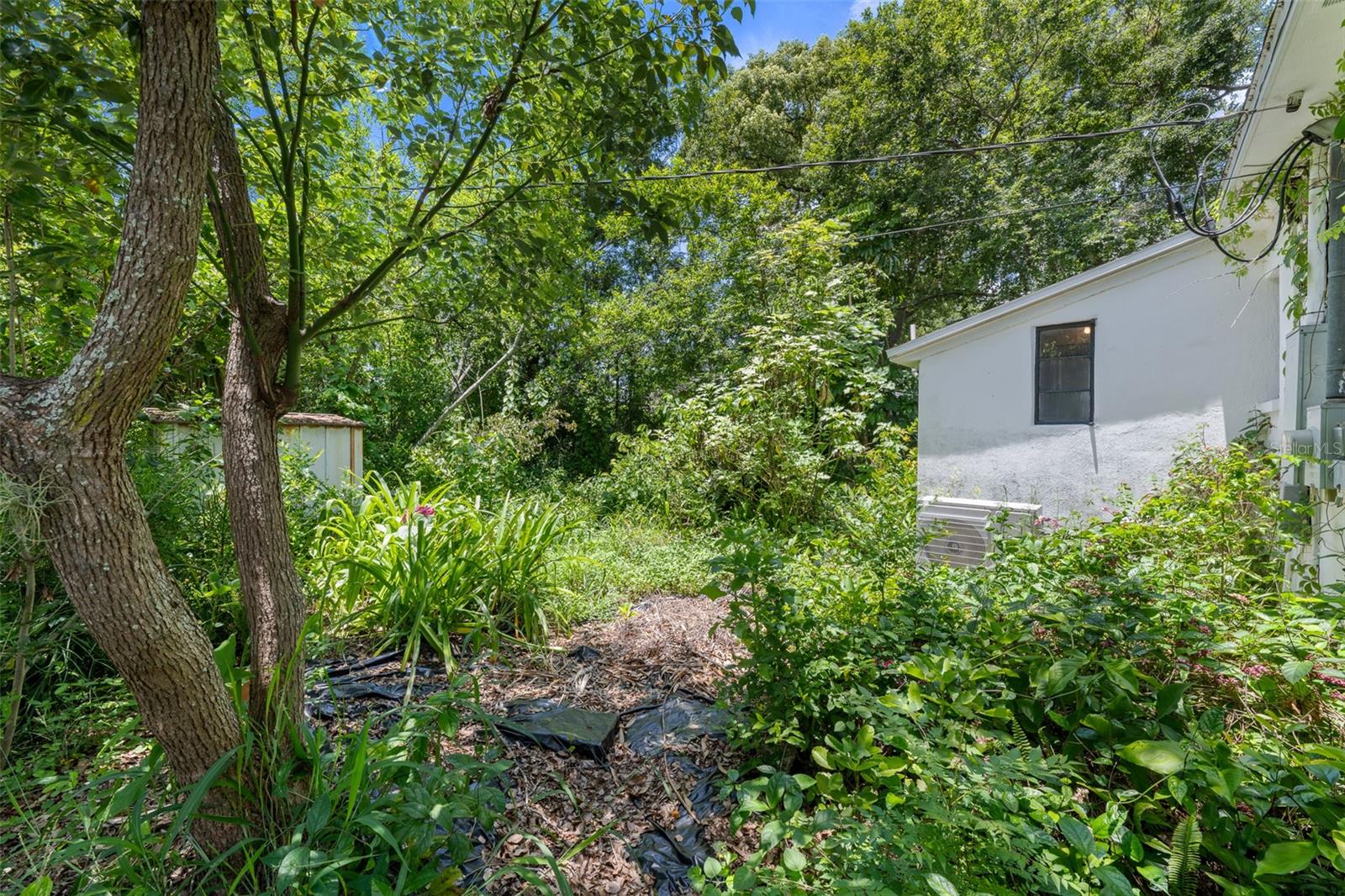 4008 W EL PRADO BLVD