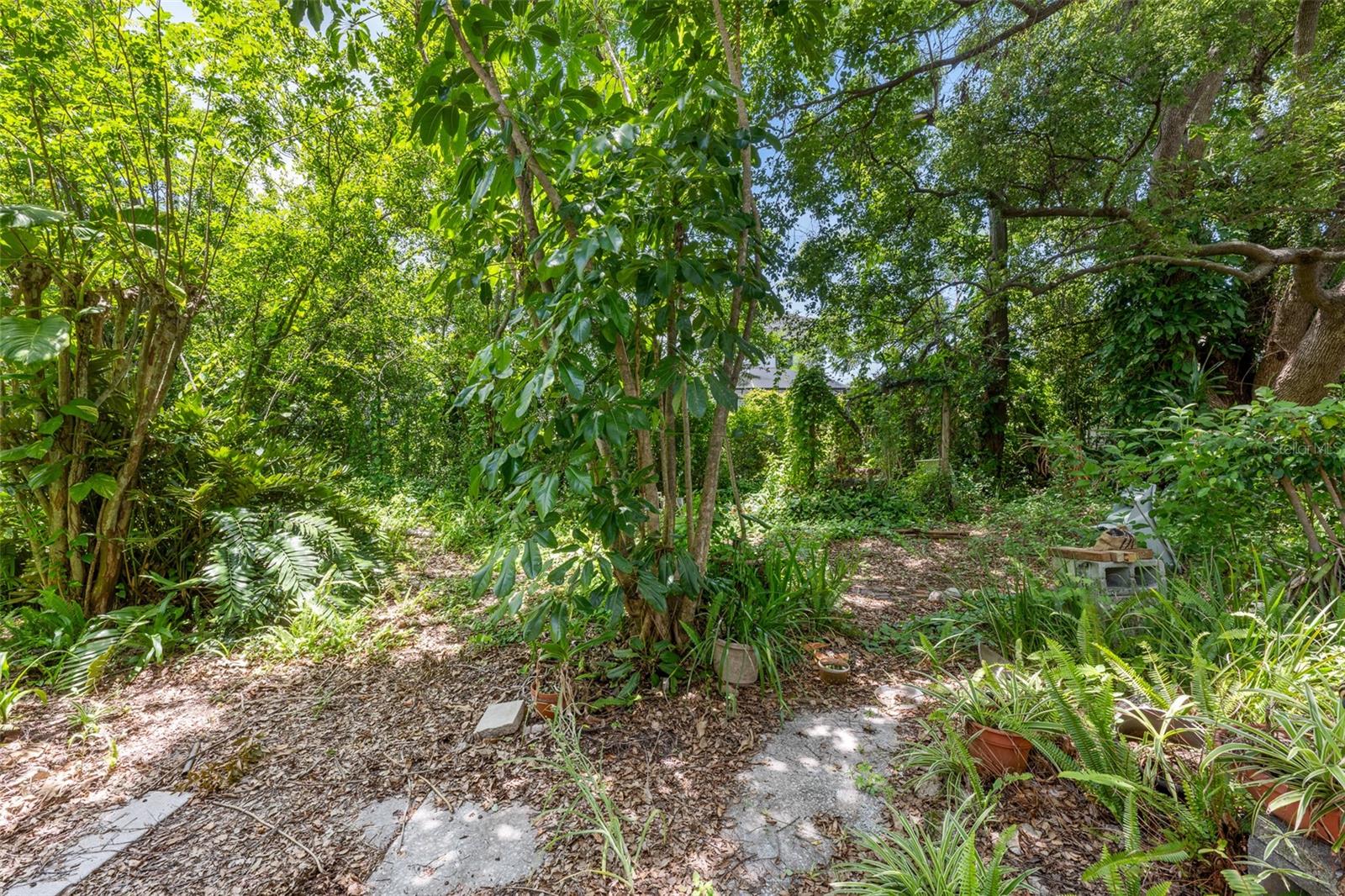 4008 W EL PRADO BLVD