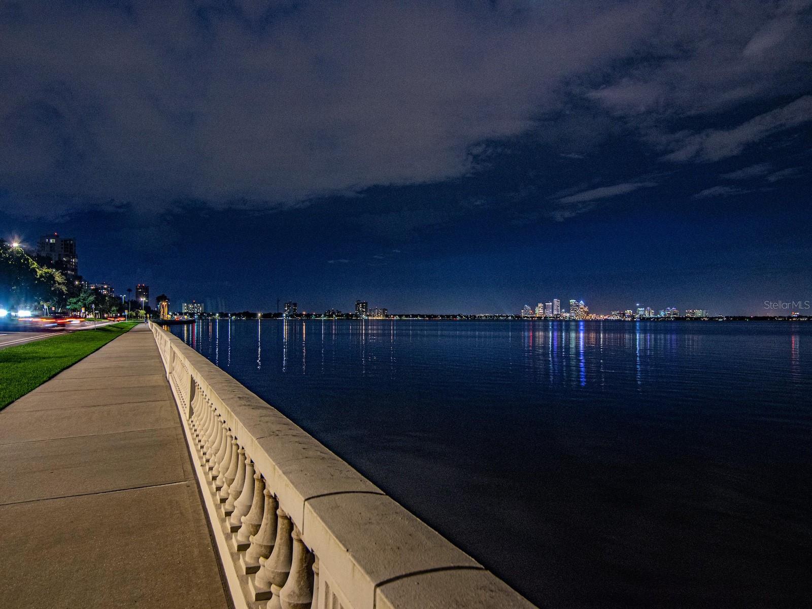 4141 BAYSHORE BLVD #304