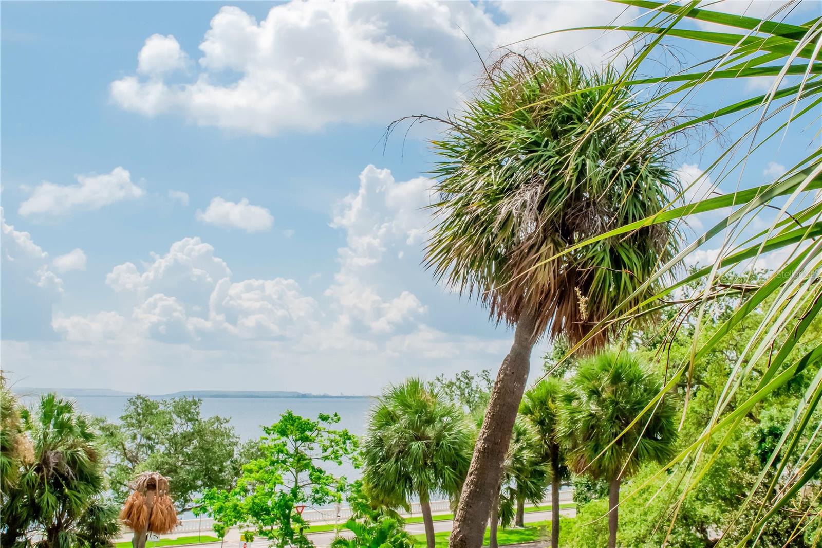 4141 BAYSHORE BLVD #304