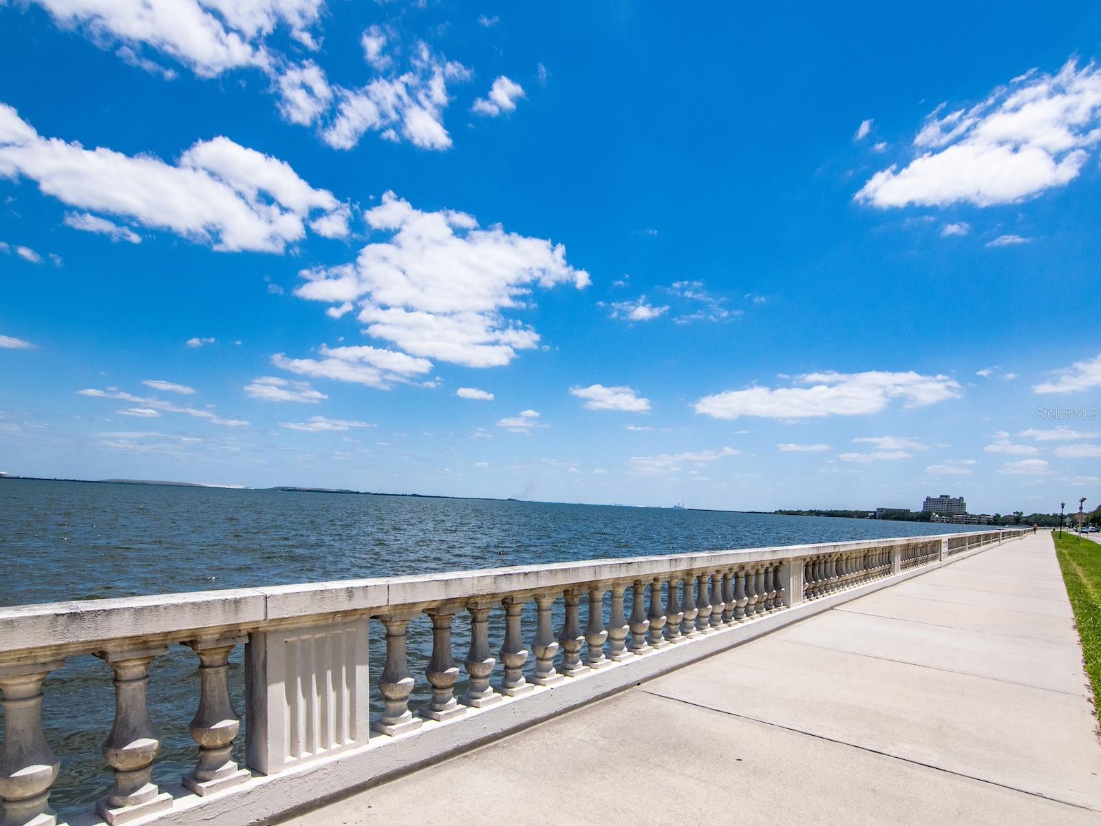 4141 BAYSHORE BLVD #304
