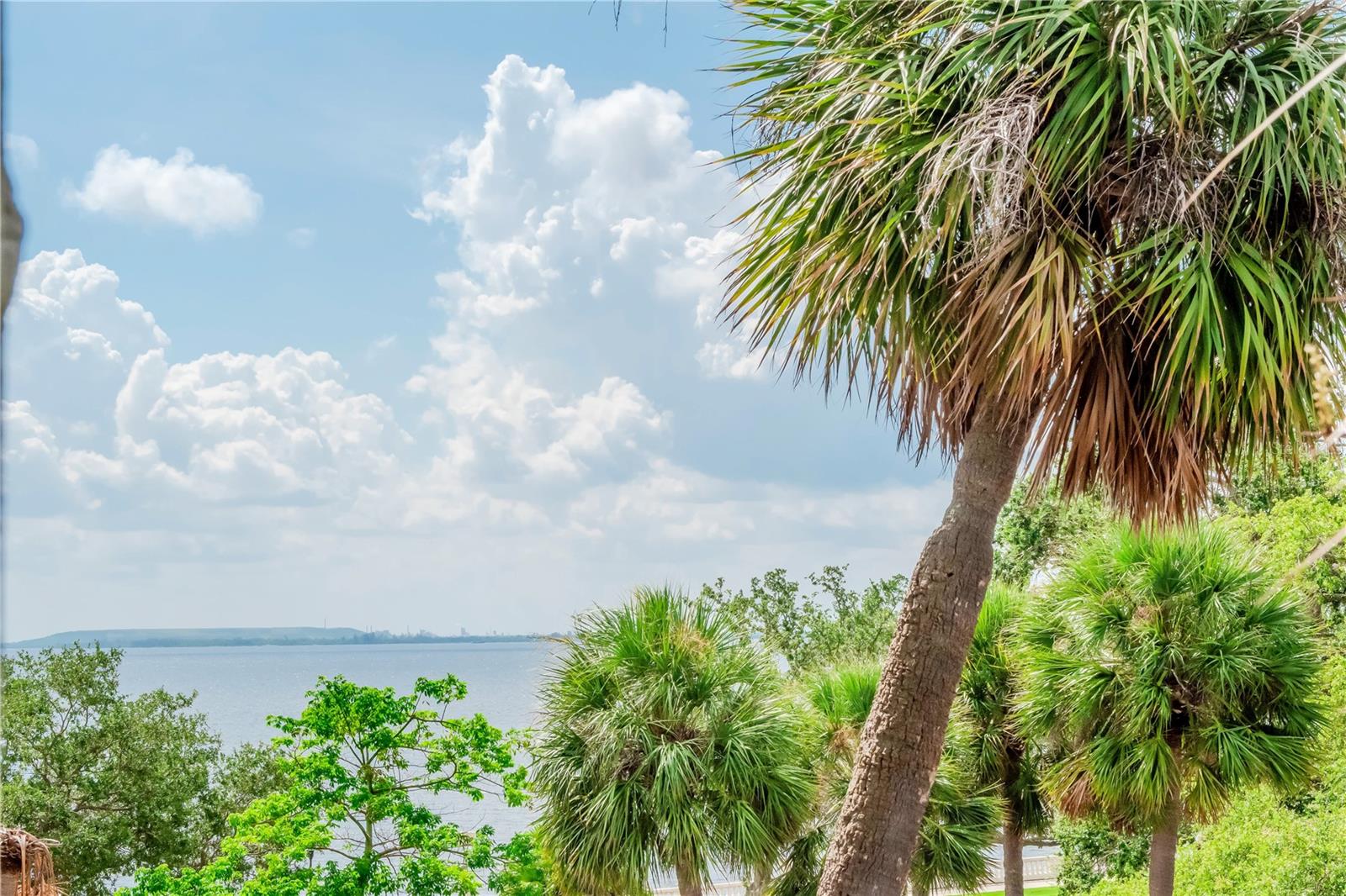 4141 BAYSHORE BLVD #304