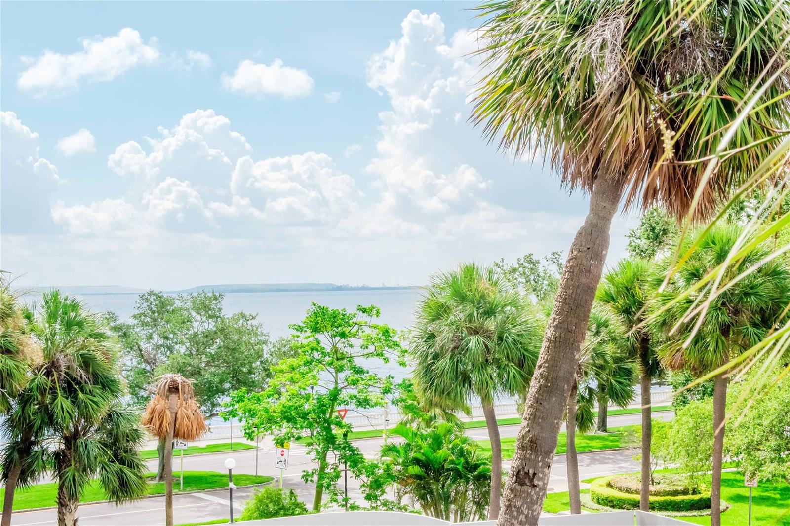 4141 BAYSHORE BLVD #304