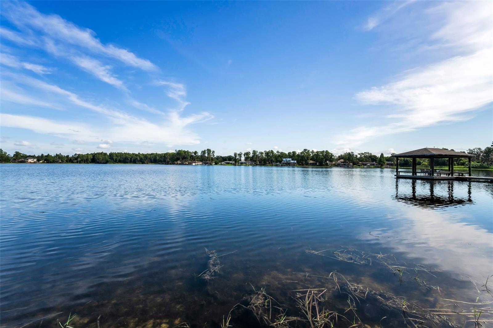 3157 LAKE ELLEN DR #3157