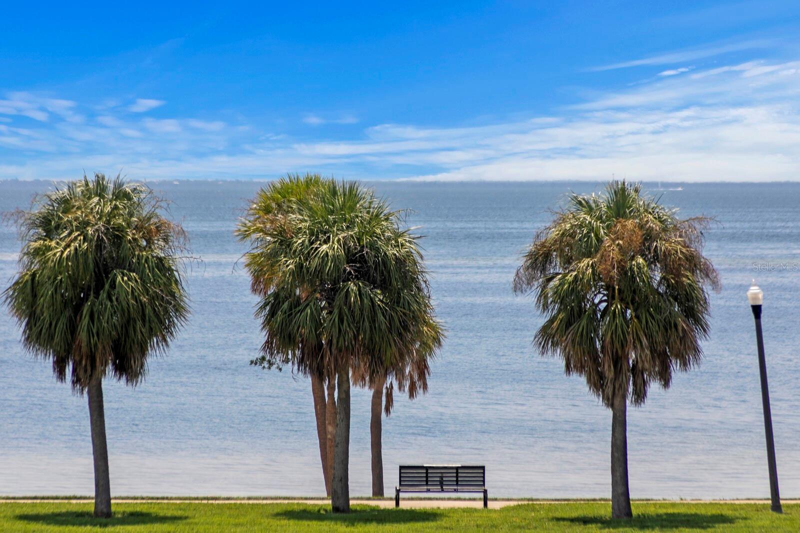 1200 N SHORE DR NE #316