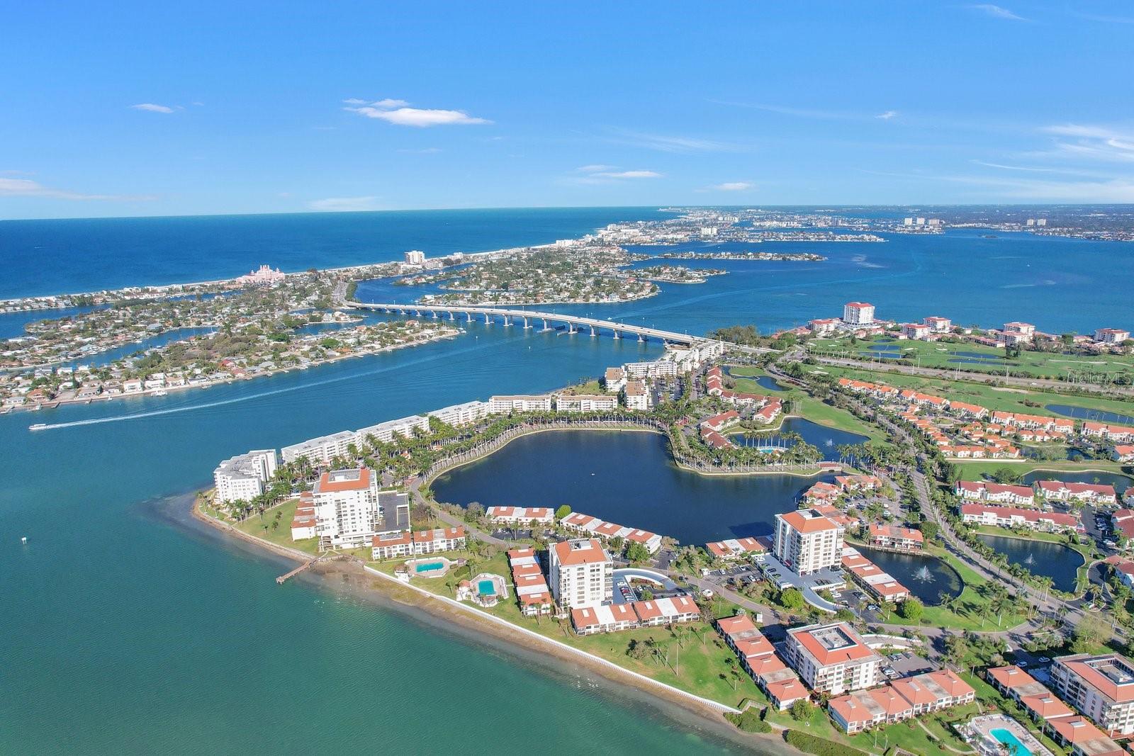 6295 BAHIA DEL MAR CIR #403