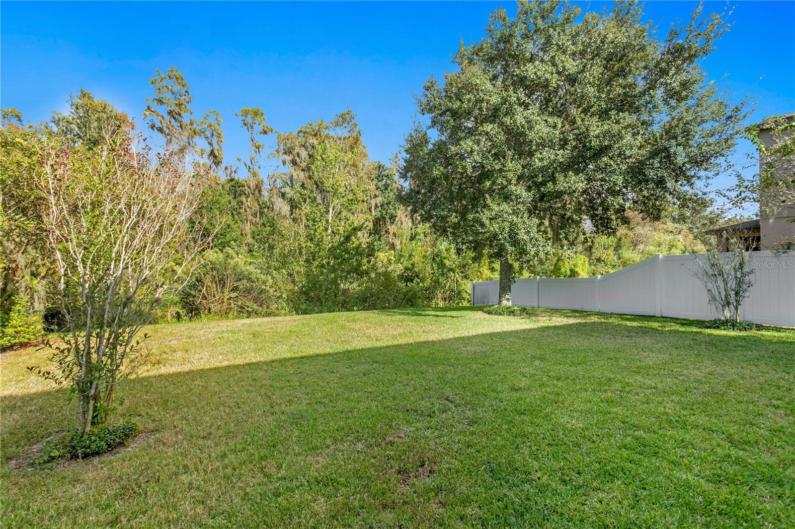 19303 WATER MAPLE DR