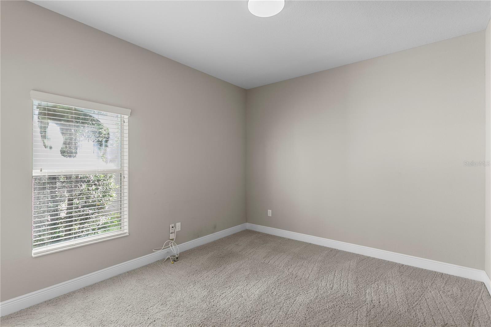 19303 WATER MAPLE DR