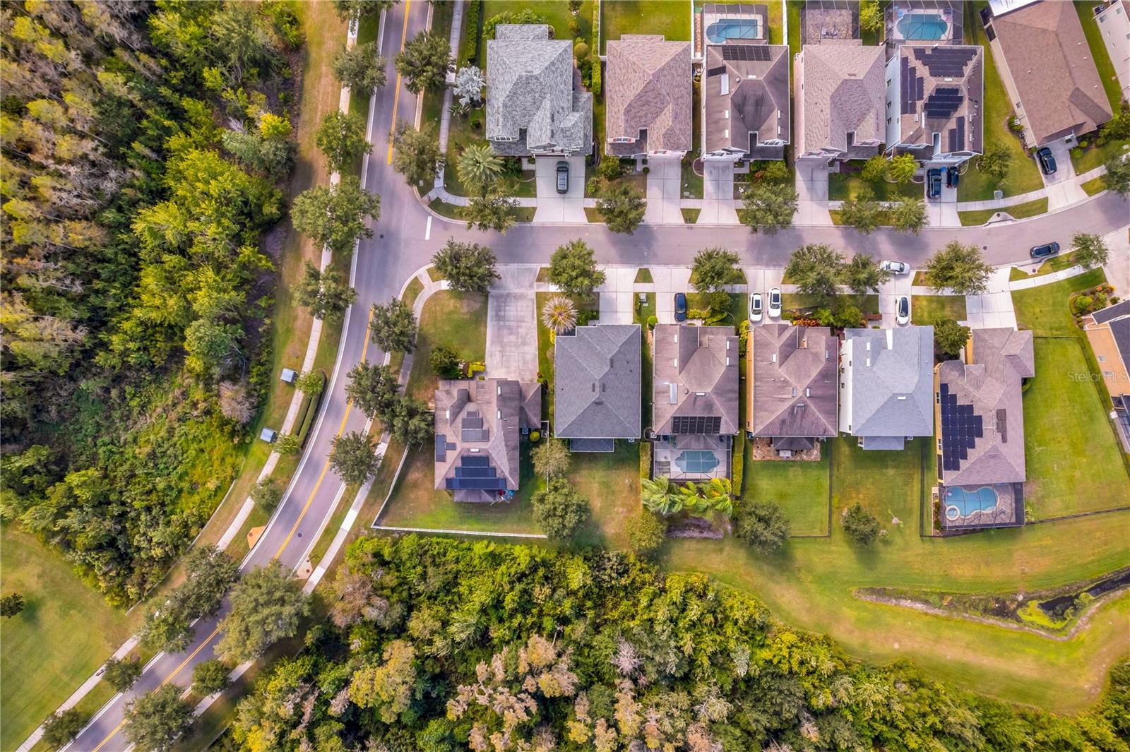 19303 WATER MAPLE DR