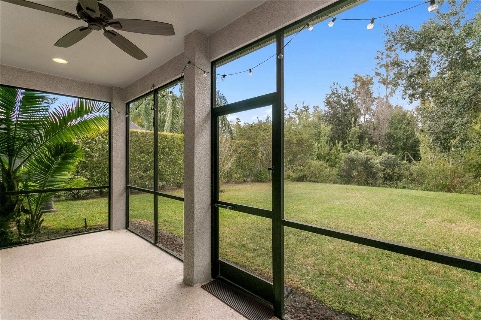 19303 WATER MAPLE DR