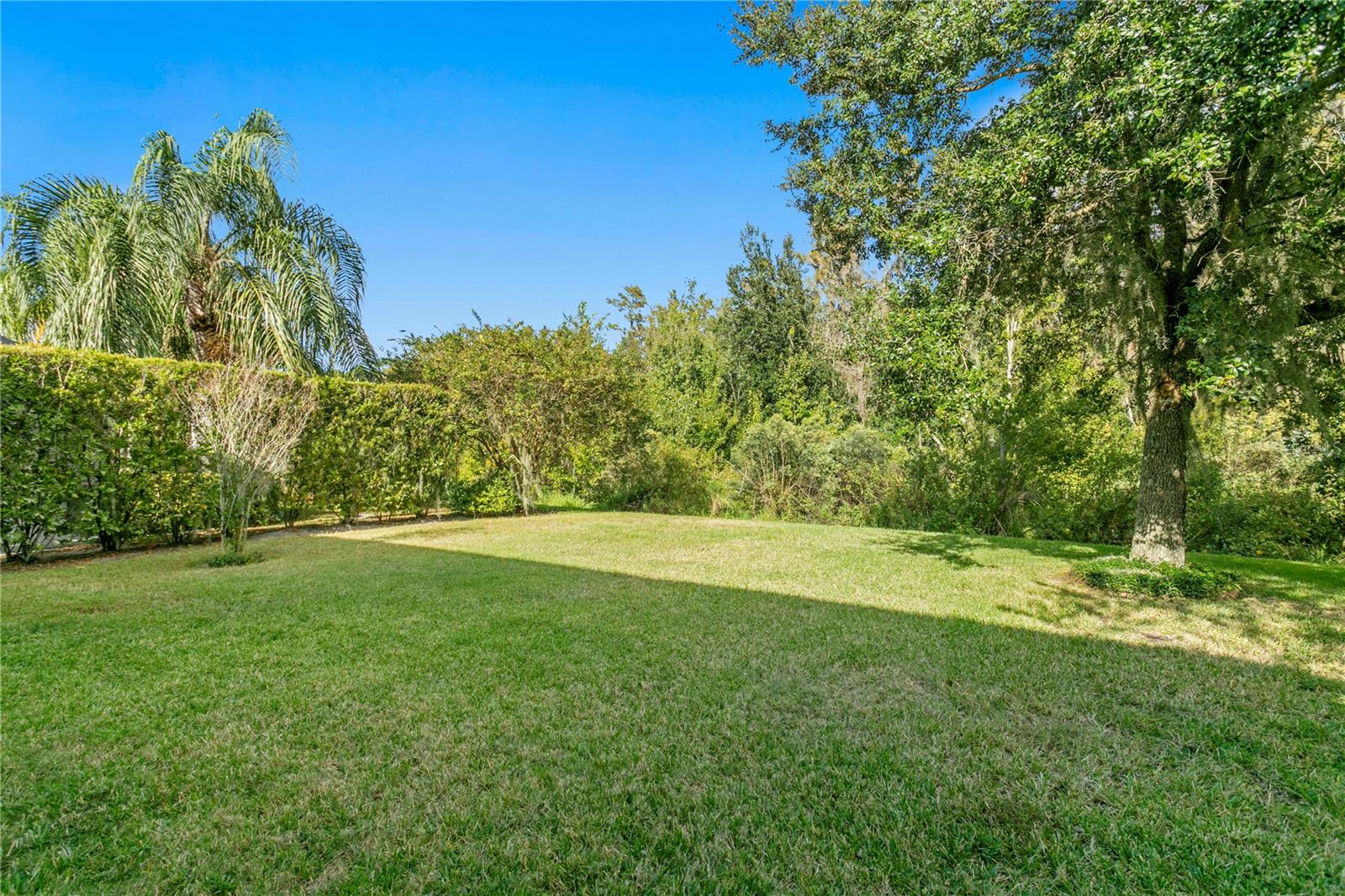 19303 WATER MAPLE DR