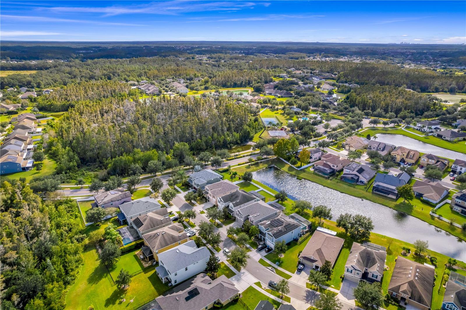 19303 WATER MAPLE DR