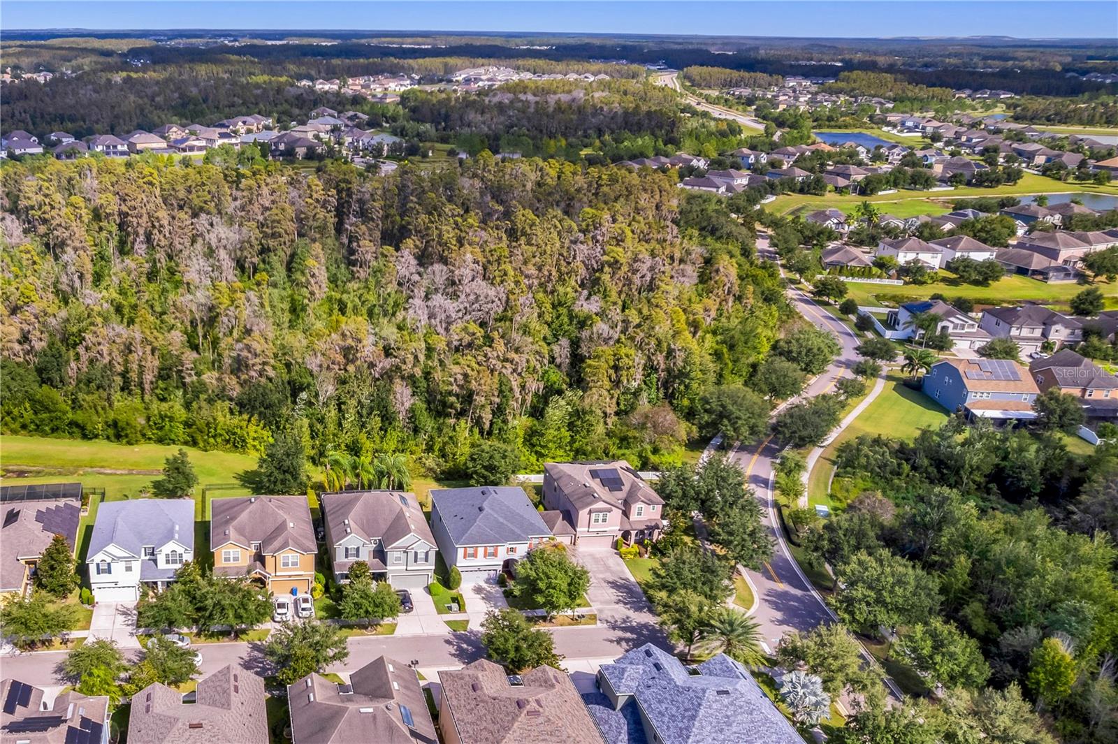 19303 WATER MAPLE DR