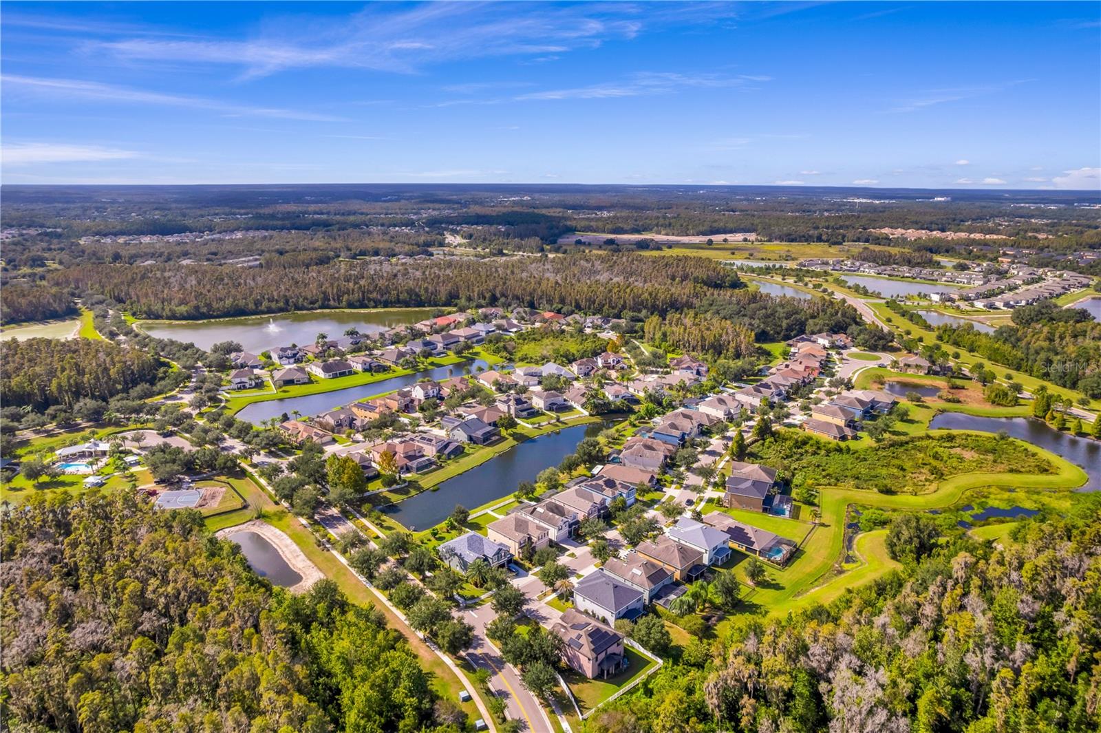 19303 WATER MAPLE DR