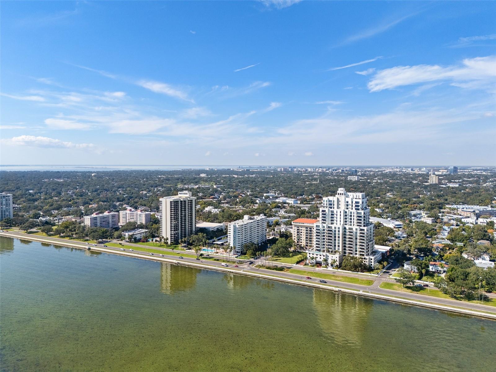 2401 BAYSHORE BLVD #310