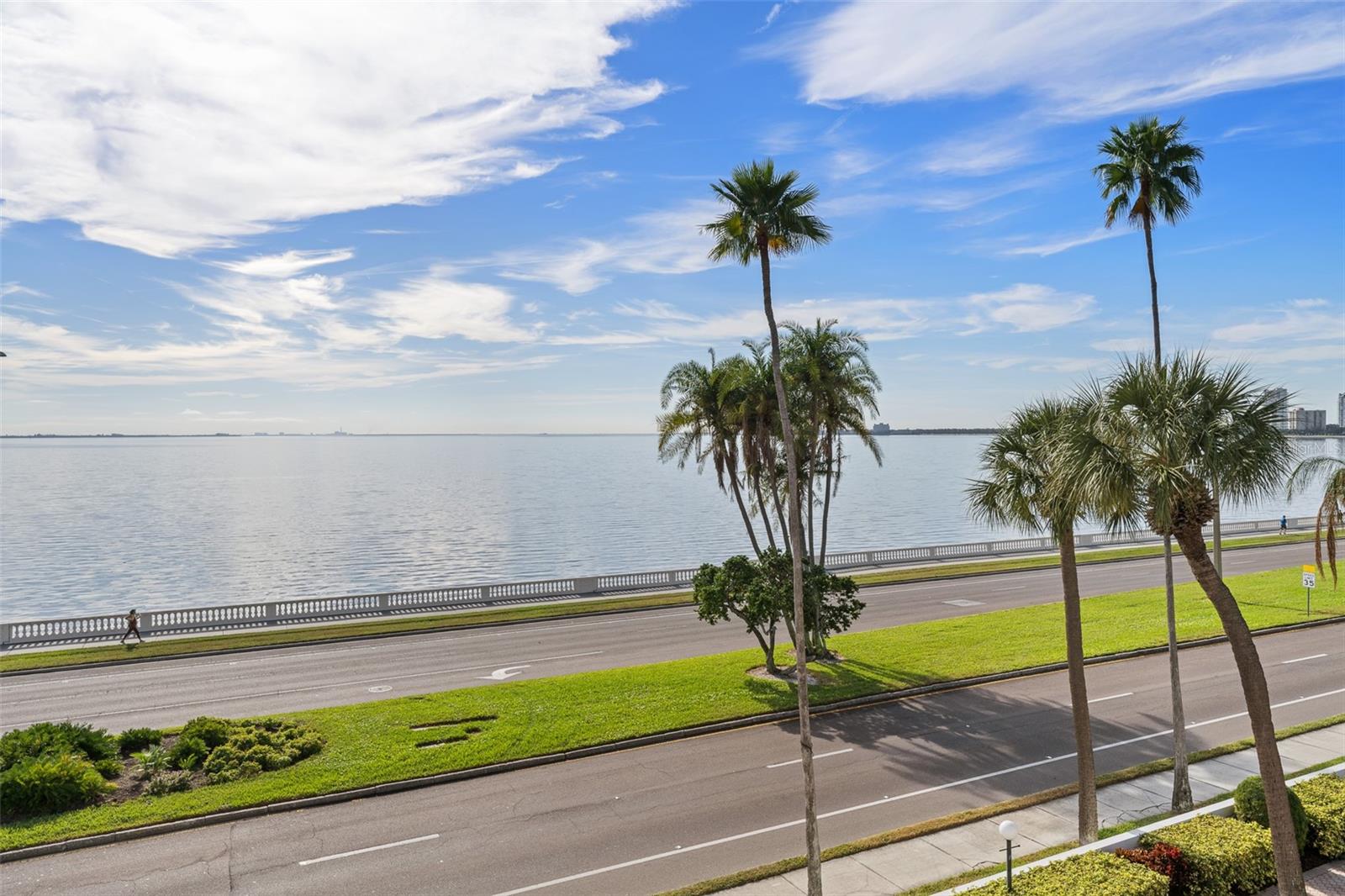 2401 BAYSHORE BLVD #310