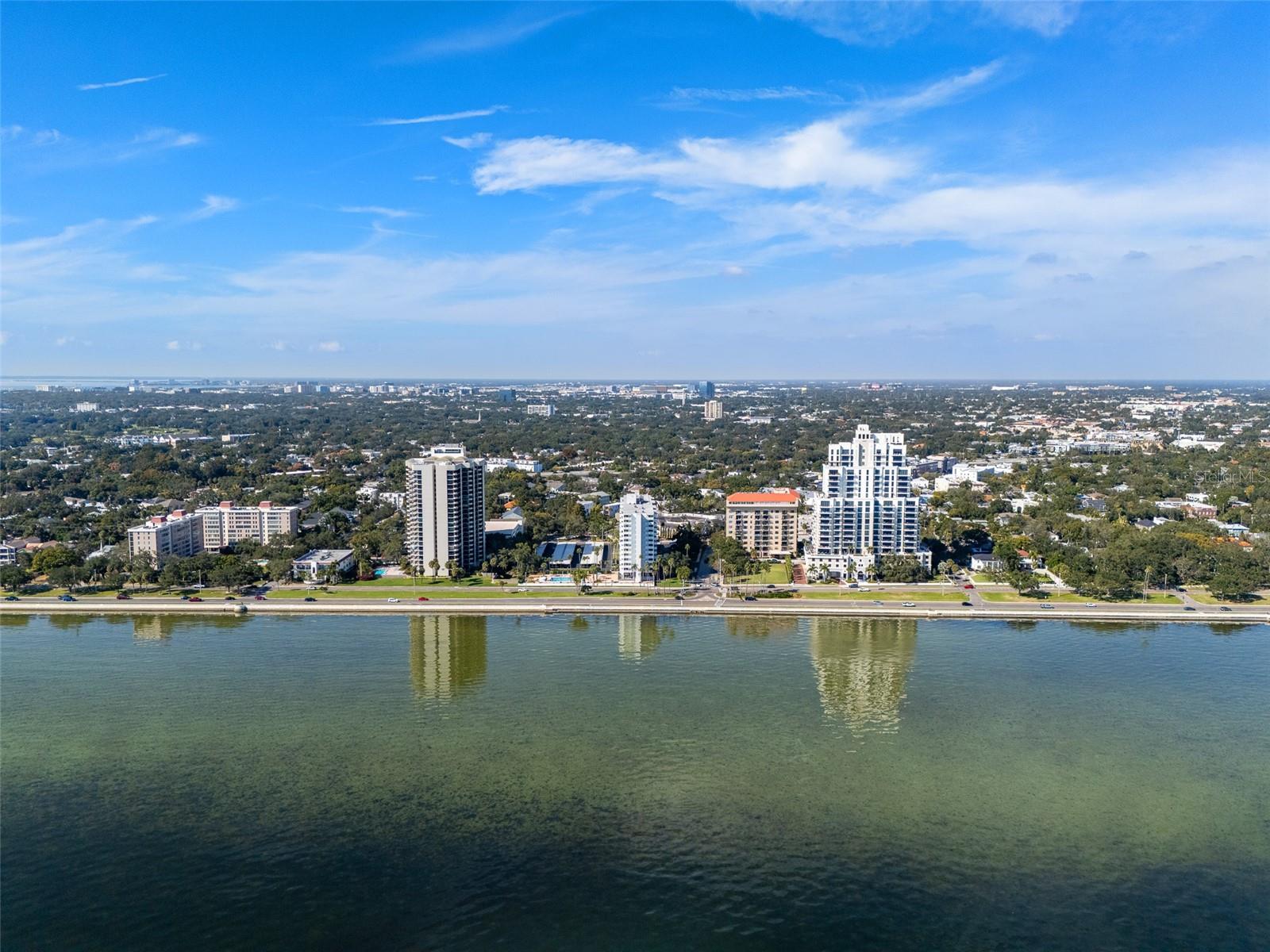 2401 BAYSHORE BLVD #310